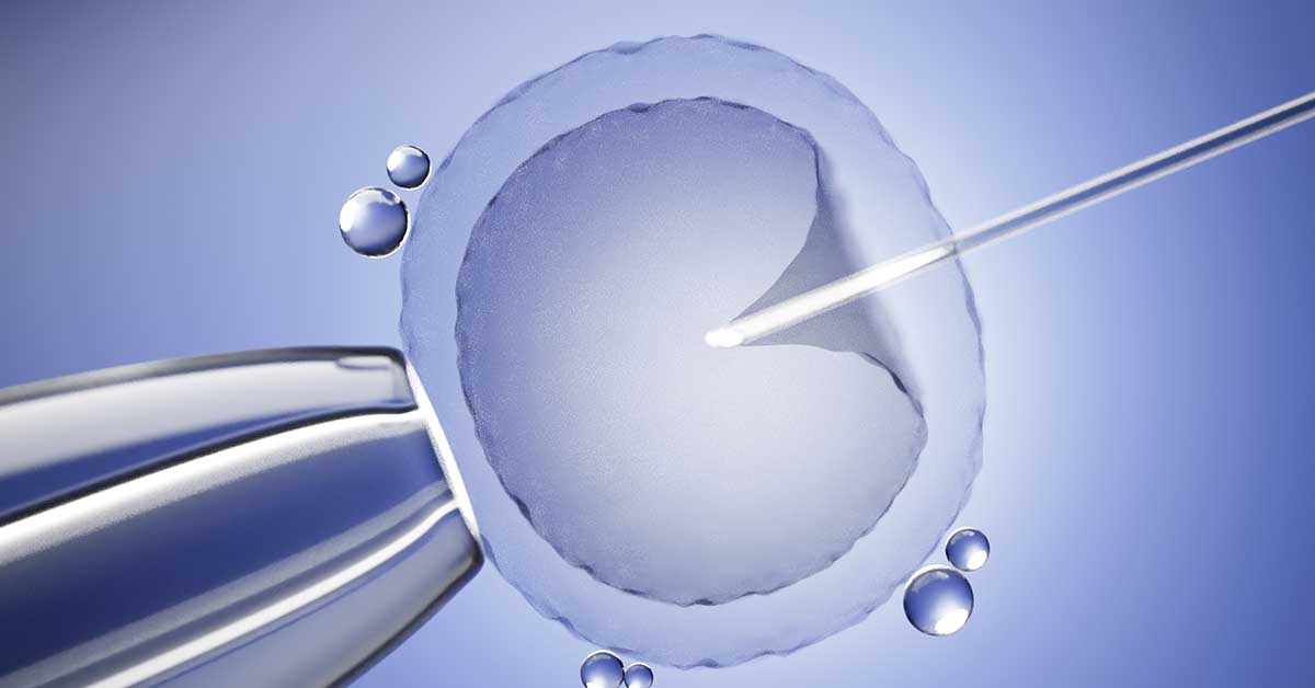 Congelamento de óvulos em São Paulo: quanto custa e onde fazer? 3 um óvulo visto em laboratório