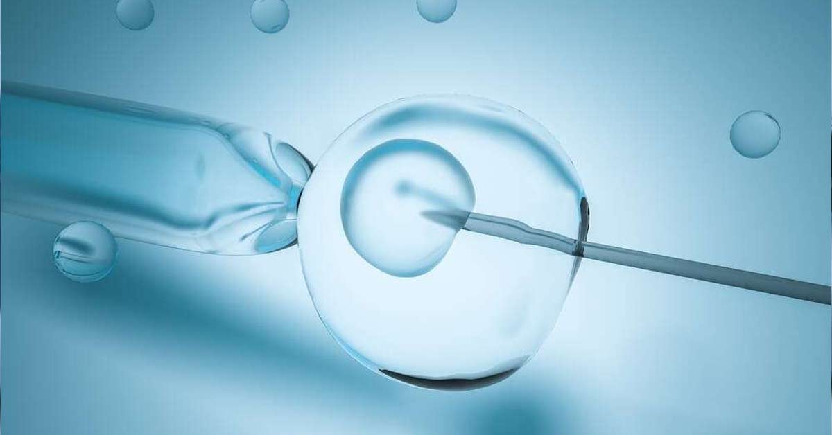 Diferenças entre inseminação artificial e fertilização in vitro