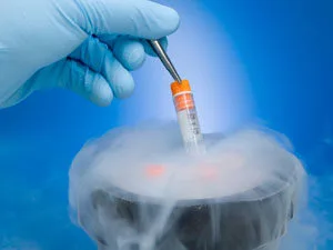 Especialista em Fertilização in Vitro