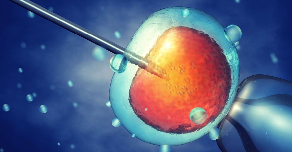  Reprodução Humana_ Inovações e Tecnologias que Fazem a Diferença 
