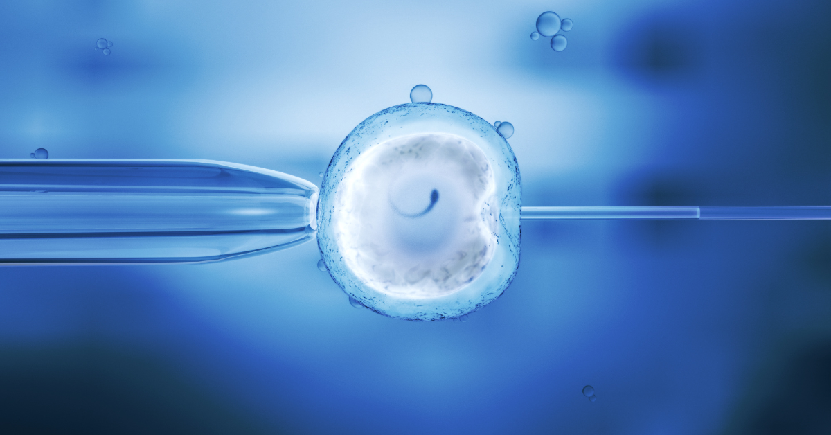 Reprodução Humana: alternativas e tratamentos para casais com dificuldade de conceber 3 Reproducao-Humana-alternativas-e-tratamentos-para-casais-com-dificuldade-de-conceber