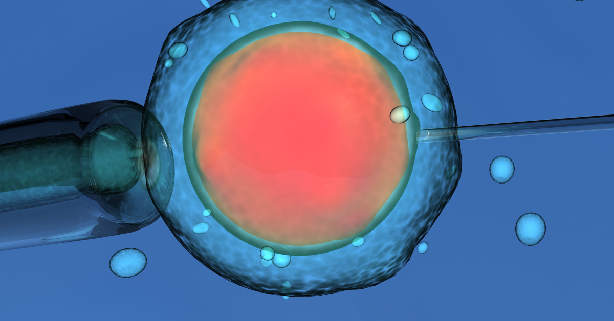 Inseminação Artificial: Mitos e Verdades sobre o procedimento 2 Inseminacao-Artificial-Mitos-e-Verdades-sobre-o-procedimento