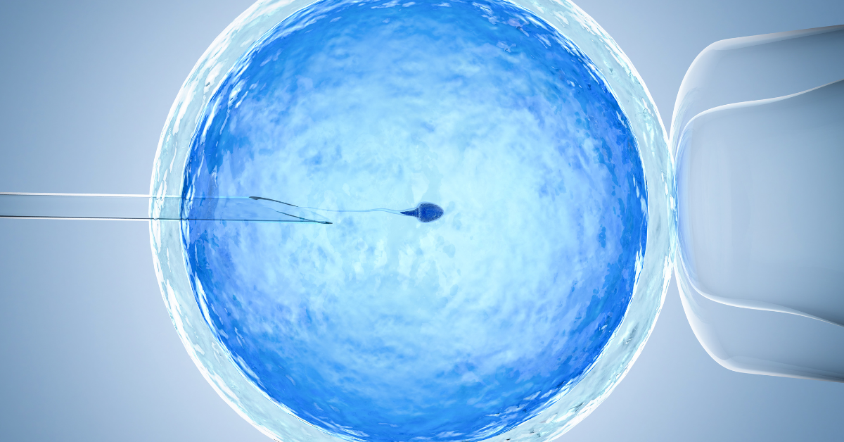 Inseminacao-Artificial-principais-vantagens-e-desvantagens